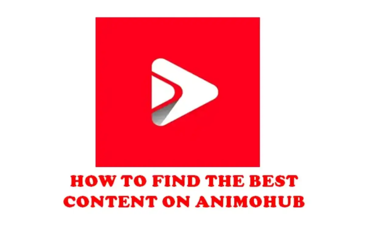 HOW TO FIND THE BEST CONTENT ON ANIMOHUB